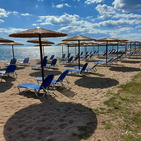 Private In A Shared Flat Homestay szállás