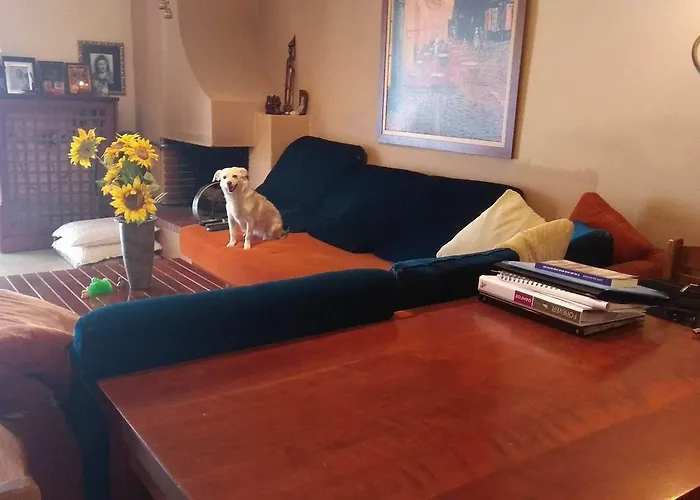 Private In A Shared Flat Séjour chez l'habitant *