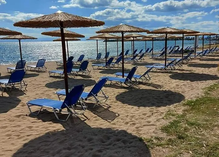 Private In A Shared Flat Privat bolig